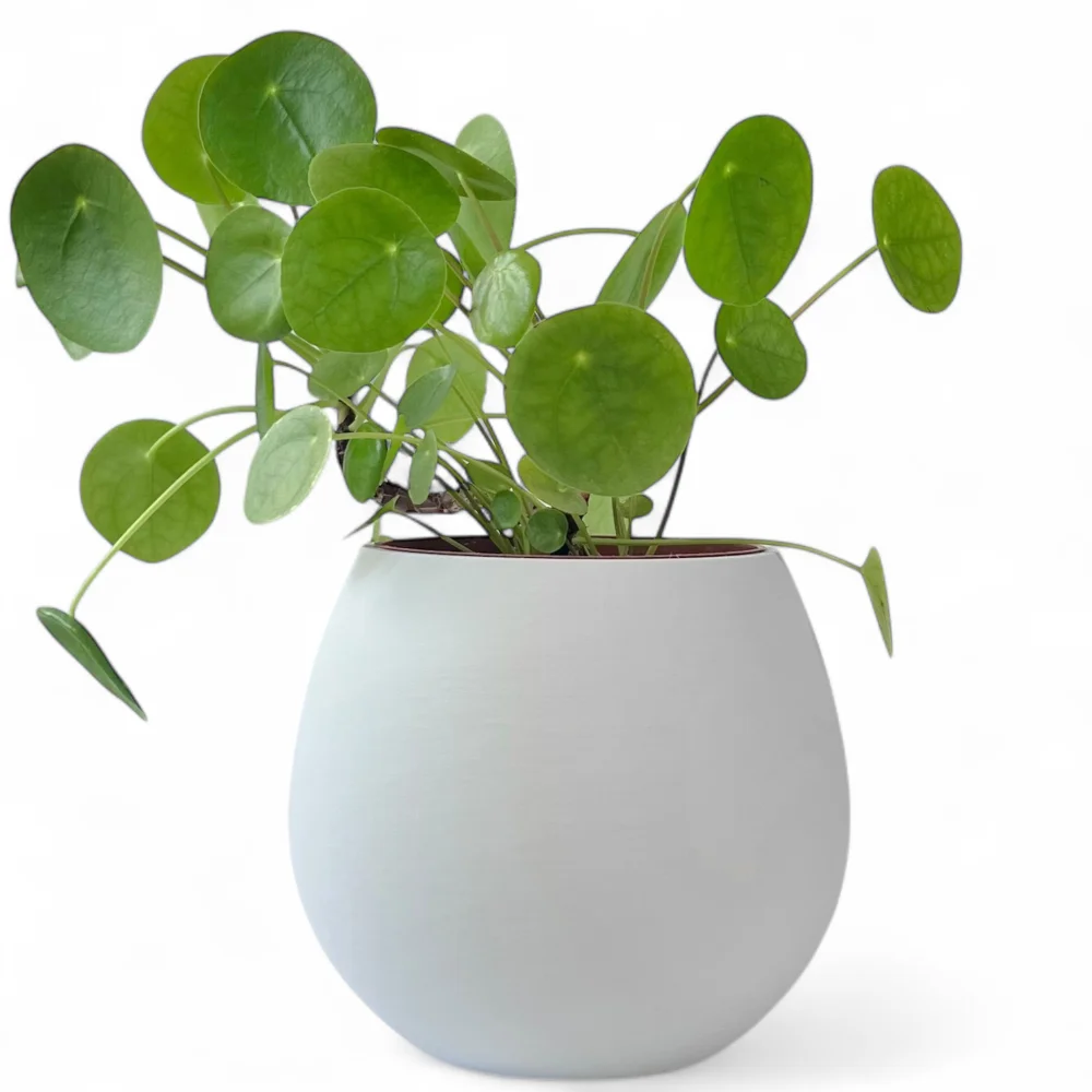 copy of Unbreakable Olive Green Flower Pot 14cm