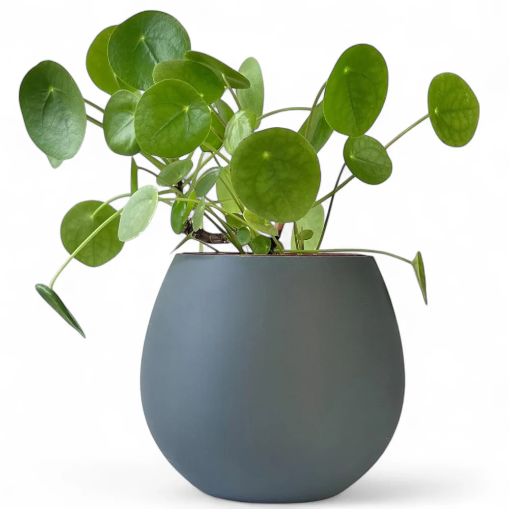 copy of Unbreakable Olive Green Flower Pot 14cm